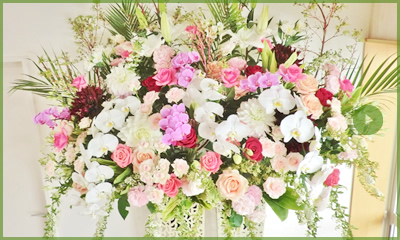 開店祝いの花特集